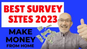 best survey sites 2023